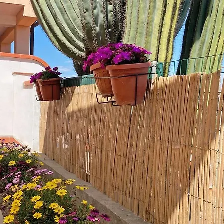 Casa Il Cactus - Argonautivacanze *
